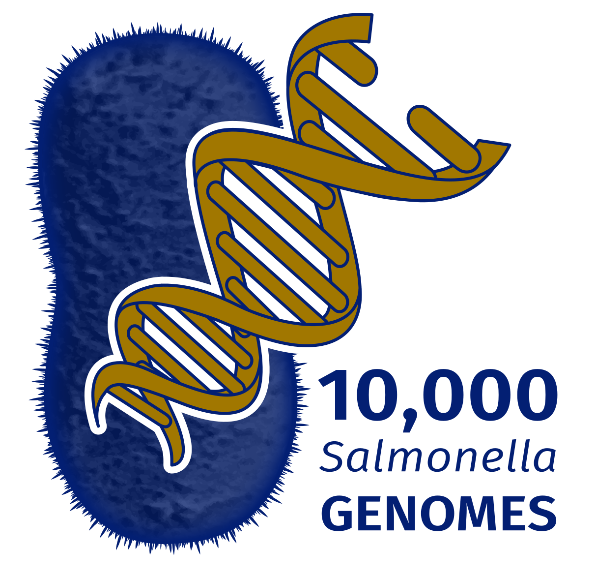 10k Salmonella Genomes Project